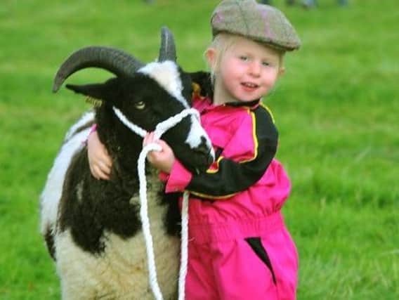 Esmay Duddin 3 from Chop Gate giving a Jacob Ewe a cuddle at the 100th Thornton Le Dale show.