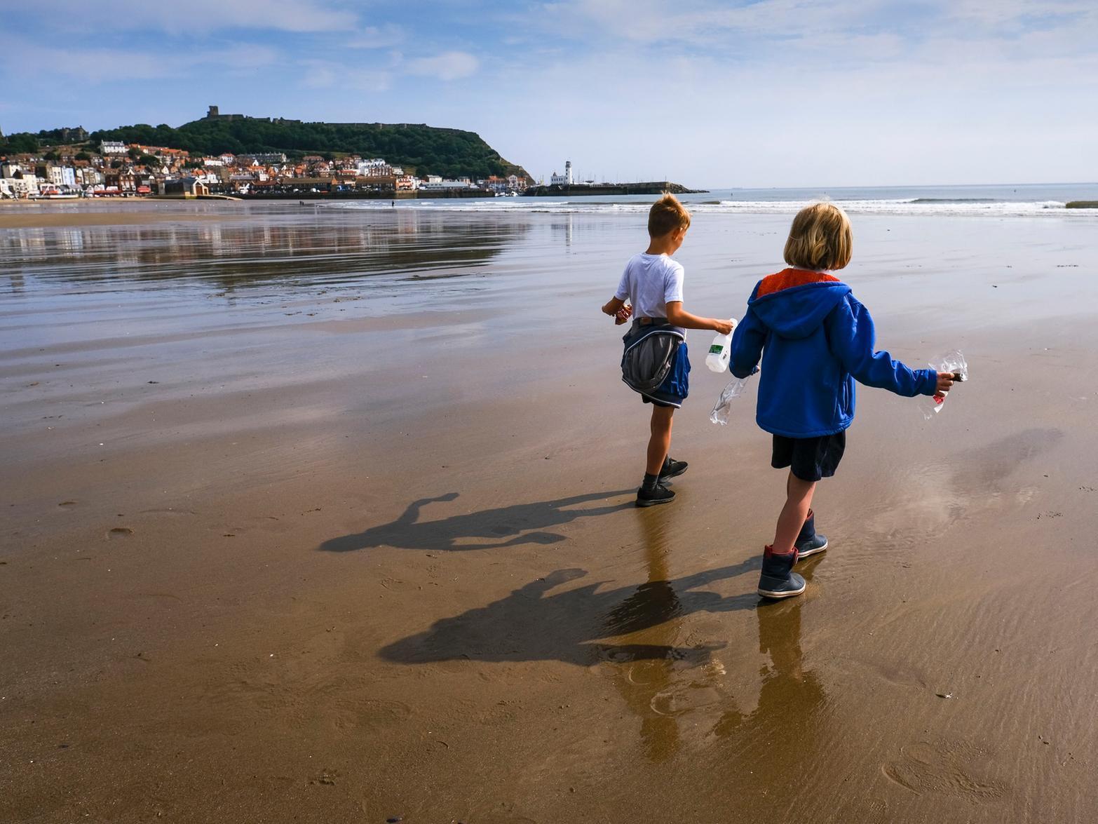Scarborough Museums Trust joins nationwide scheme to address climate change - Vimarsana News
