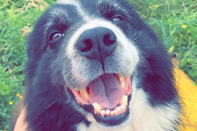 Beautiful Billy