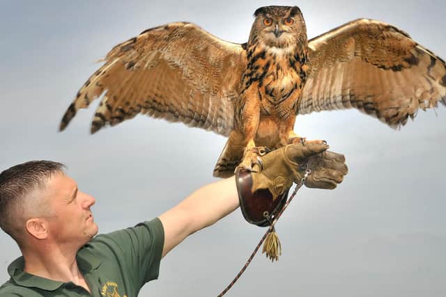 Trevor Buckroyd with Gandalf the Eagle Owl in 2016.
