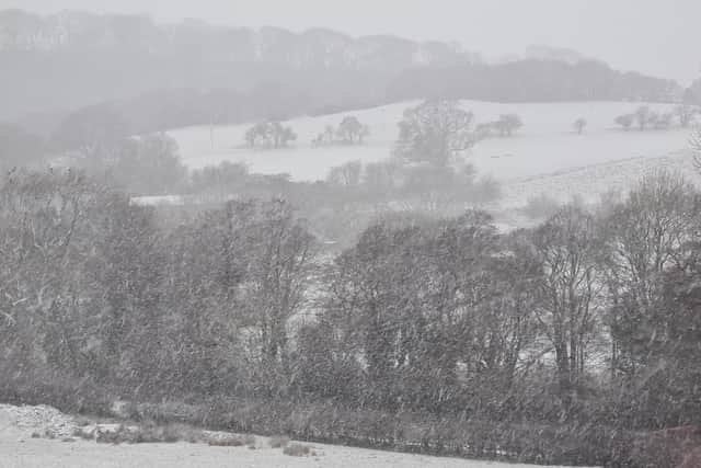 Snow is forecast for the weekend.