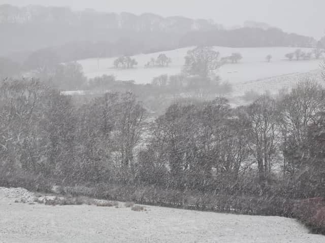 Snow is forecast for the weekend.