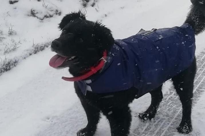 Wrap up warm before braving the elements