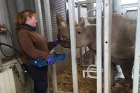 Chanua getting ready for her incredible journey