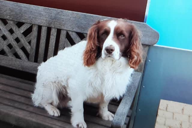 The three dogs were taken from a farm in Thornholme.