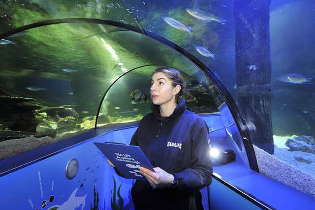Aquarist Rose German during the centre's annual animal count.