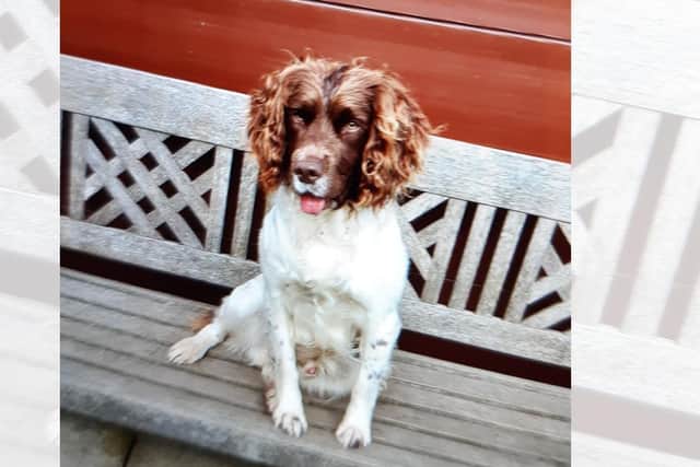 Keedy is still missing from her Yorkshire Coast home.