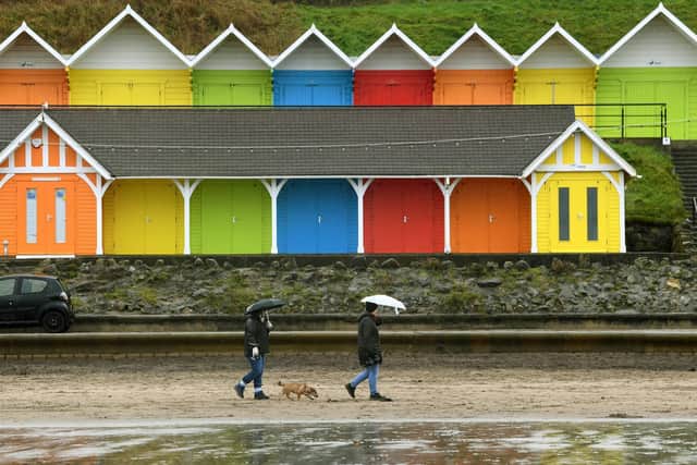 Dog walkers brave the rain in Scarborough's North Bay.