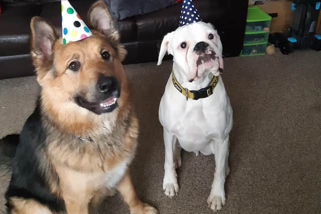 Rosie on her first birthday, with pal George. Photo: Gemma Dowson