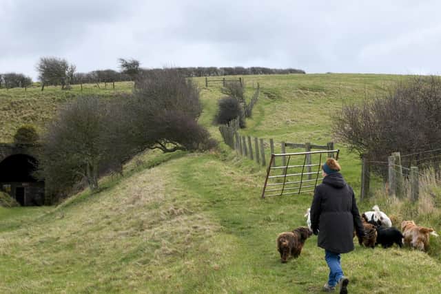 Dog walking in Sandsend, near Whitby