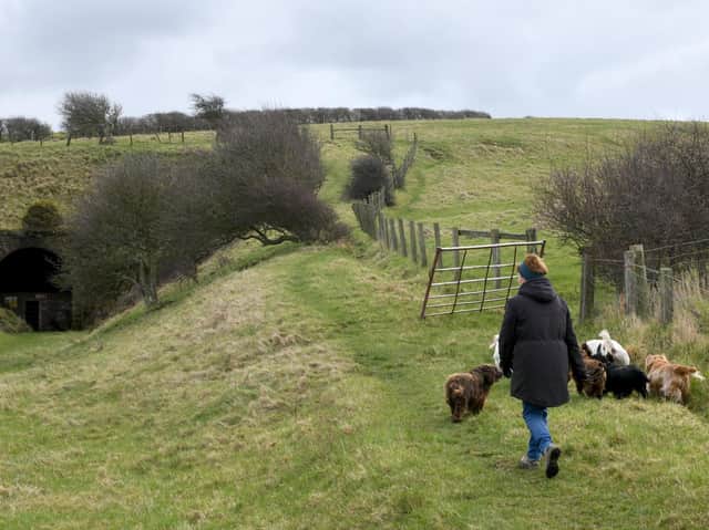 Dog walking in Sandsend, near Whitby