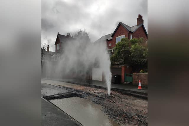 Gushing water pipe in Alexandra Park. Credit for image : Dilys Cluer
