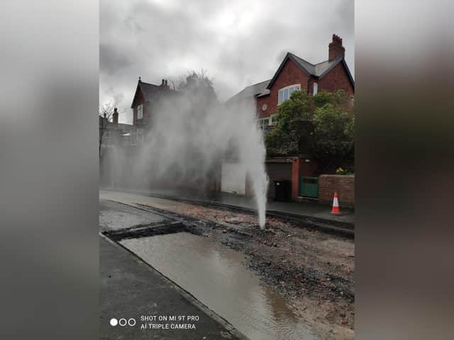 Gushing water pipe in Alexandra Park. Credit for image : Dilys Cluer