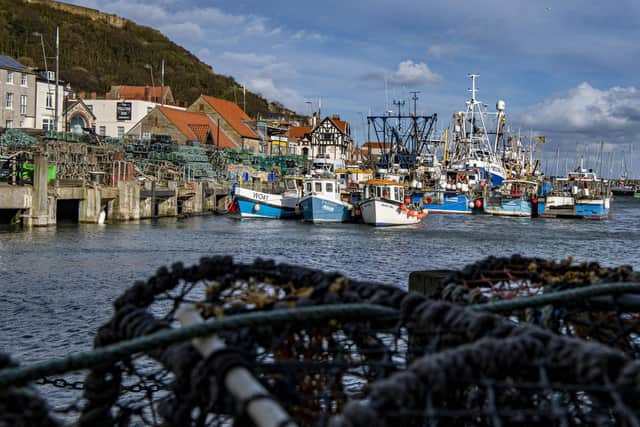 Scarborough's harbour and beaches could be heaving with tourists once again this summer.