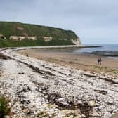 A beach clean will be held in Flamborough on Sunday, May 2.