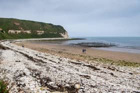 A beach clean will be held in Flamborough on Sunday, May 2.