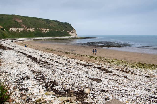 A beach clean will be held in Flamborough on Sunday, May 2.