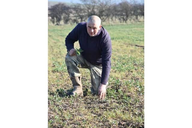 Paul inspecting his crops