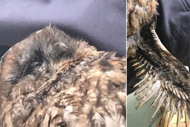 The tawny owl was wrapped up in a towel after it suffered burns and singed feathers to its wing. (Photo: RSPCA)