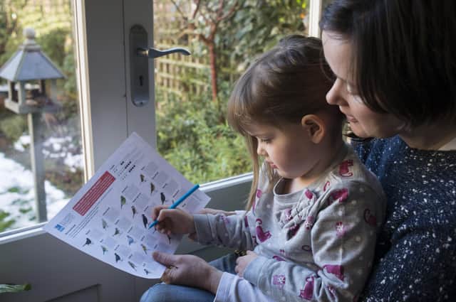 The RSPB Big Garden Birdwatch survey will take just 60 minutes to complete. Photo: Eleanor Bentall /rspb-images.com