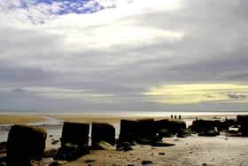 Dog owners in Scarborough, Bridlington and Whitby have claimed their dogs have become poorly after visiting beaches and the surrounding areas.