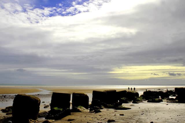 Fraisthorpe beach, near Bridlington, where cocker spaniel Roo became ill.