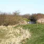 Jon Traill, a wildlife expert from YWT, will be taking the guided wildlife walks around the organic farm.