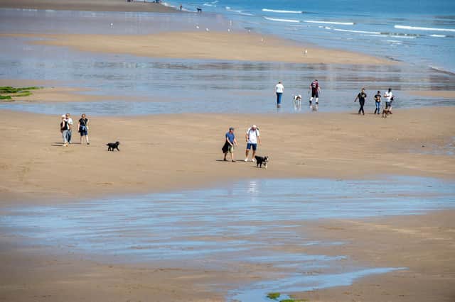 Dog walkers on Scarborough's South Bay beach as experts say there is no link between the beach and the mystery illness.