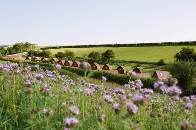 Humble Bee Farm ub Flixton, near Scarborough, is opening its doors every Sunday in March to visitors so they can enjoy lambing