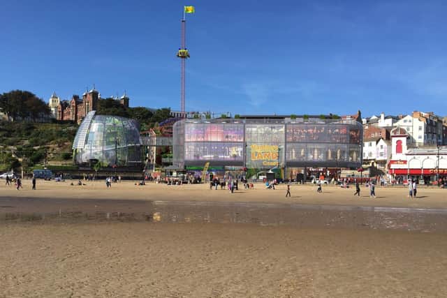 An artist's impression of what a Flamingo Land site on the coast could have looked like.