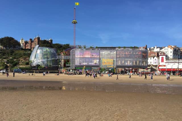 An artist's impression of what a Flamingo Land site on the coast could have looked like.