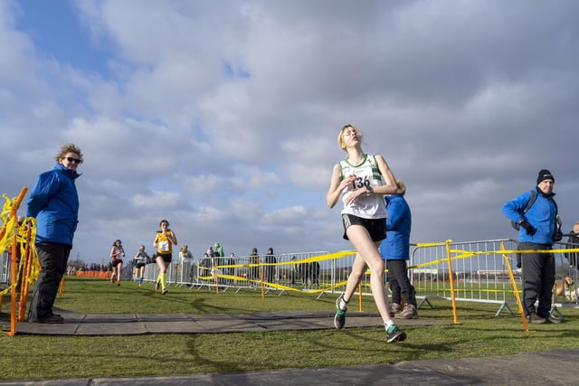 Wakefield Harriers' athletes enjoyed good results at Pontefract.