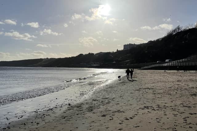 The illness first came to light in January when dozens of owners said their dogs were suffering with vomiting and diarrhoea after visiting the Yorkshire coast.