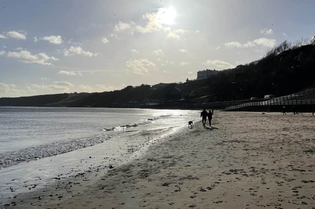 The illness first came to light in January when dozens of owners said their dogs were suffering with vomiting and diarrhoea after visiting the Yorkshire coast.