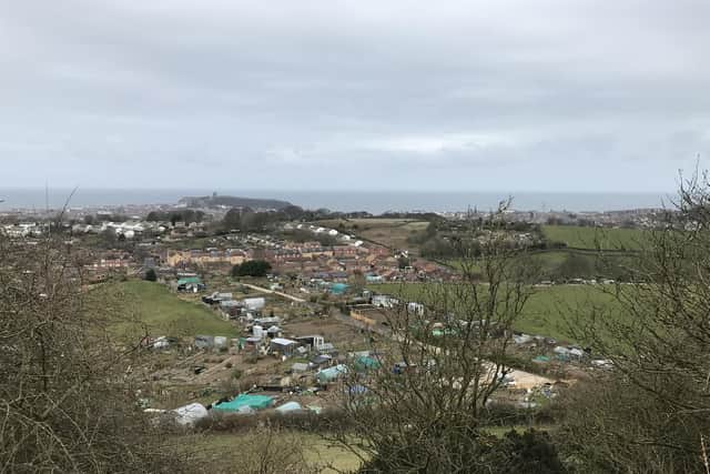 The pandemic, and the rise in interest in home-grown food, have led to increased demand for allotments. Pictured are the Sandybed allotments.
