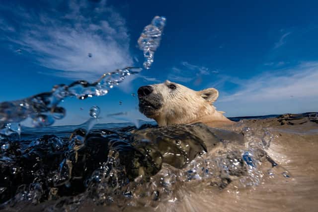 Sewerby Hall will host the ‘Wildlife Photographer of the Year’ exhibition. Photo copyright Martin Gregus
