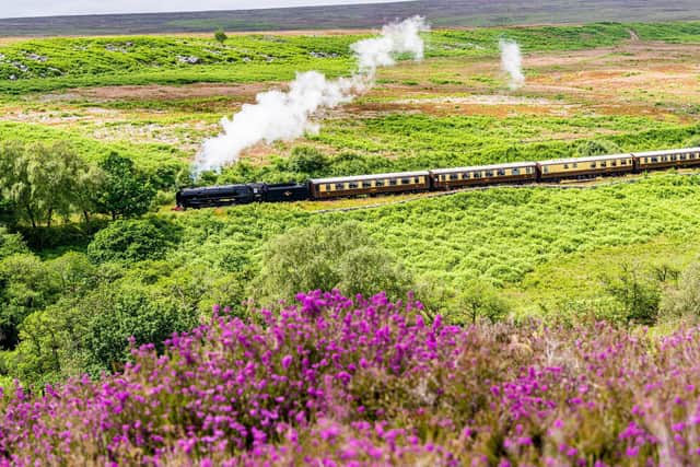 Train on the North Yorkshire Moors Railway.