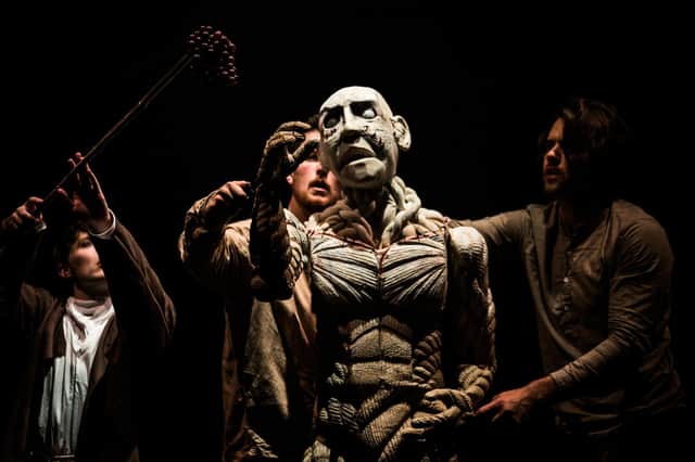 The puppetry in Frankenstein is created and directed by Yvonne Stone and is stunning to watch