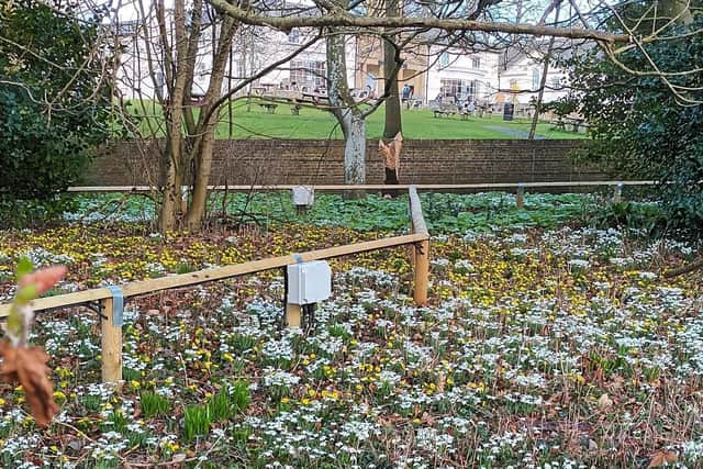 Thousands of winter bulbs are in flower now at Sewerby Hall and Gardens and it’s free of charge to access the grounds and gardens.