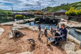 Scarborough's SEA LIFE centre, pictured, has called on Government help to support the tourism industry.