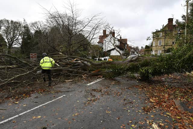 Trees were brought down across the town closing roads for several hours.