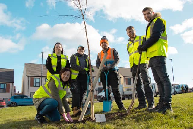 Apprentices plant trees for the Queen's Platinum Jubilee across Scarborough and Whitby.