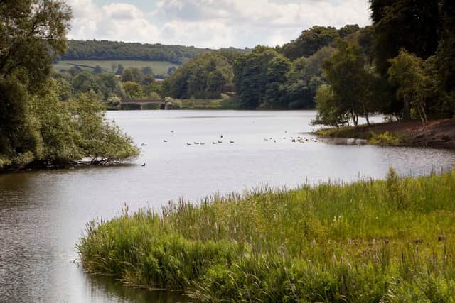Image courtesy Yorkshire Sculpture Park. © Jonty Wilde