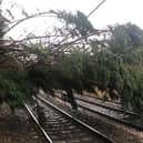 Fallen trees and other debris can blow onto railway lines. This tree came down during Storm Dudley.
