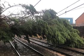 Fallen trees and other debris can blow onto railway lines. This tree came down during Storm Dudley.