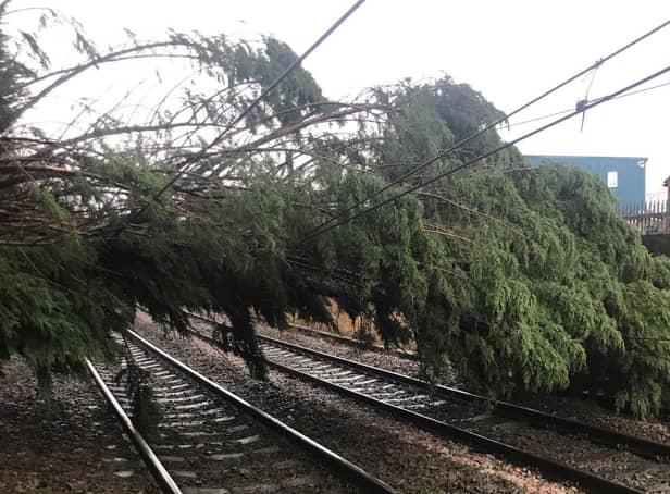 Fallen trees and other debris can blow onto railway lines. This tree came down during Storm Dudley.