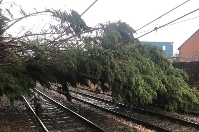 Fallen trees and other debris can blow onto railway lines. This tree came down during Storm Dudley.