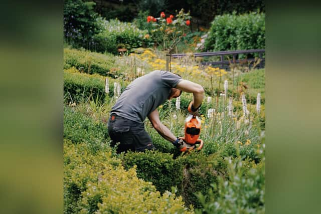 Raithwaite Sandsend is developing a forest garden.