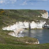 Around 200,000 seabirds return to nest on Flamborough Headland while migrant songbirds arrive back from Africa and Europe during the spring months.