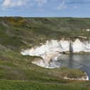 Around 200,000 seabirds return to nest on Flamborough Headland while migrant songbirds arrive back from Africa and Europe during the spring months.